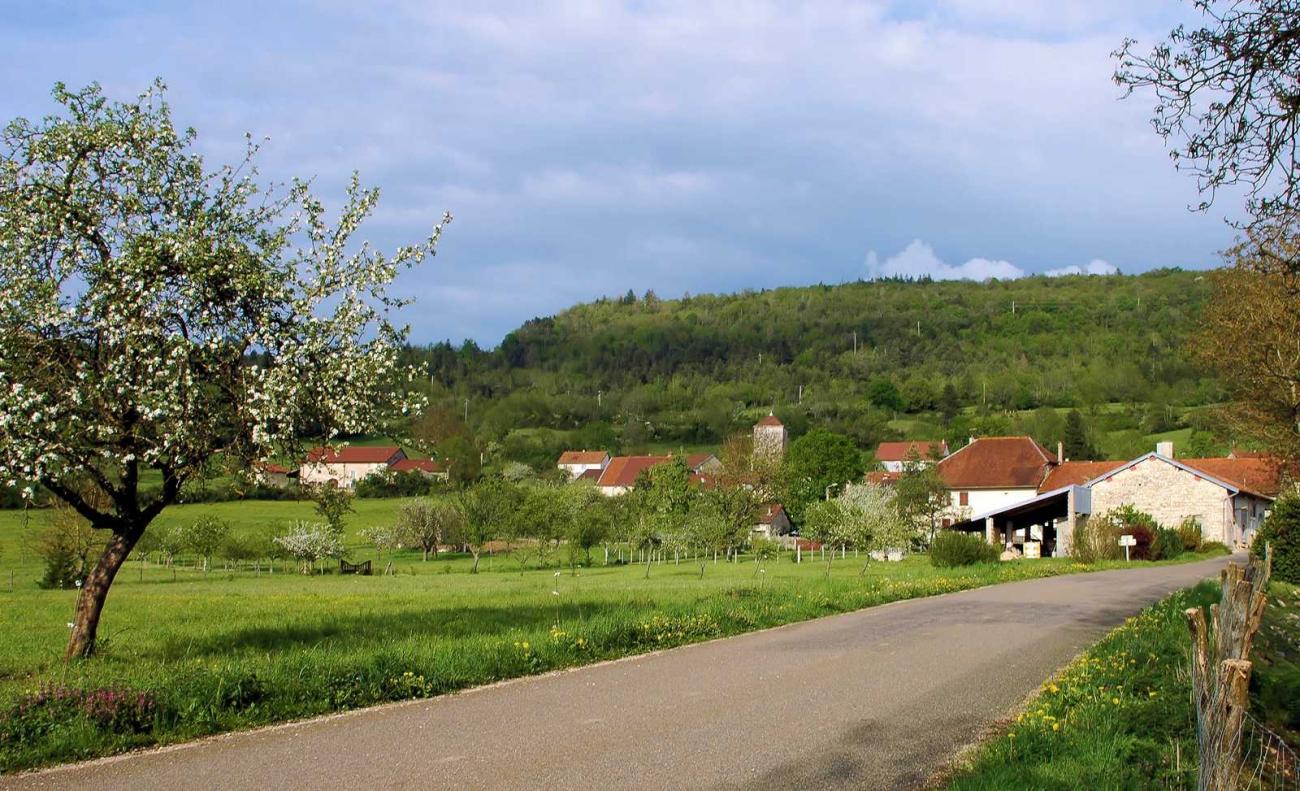 Legna