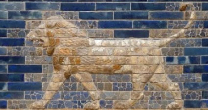 lion